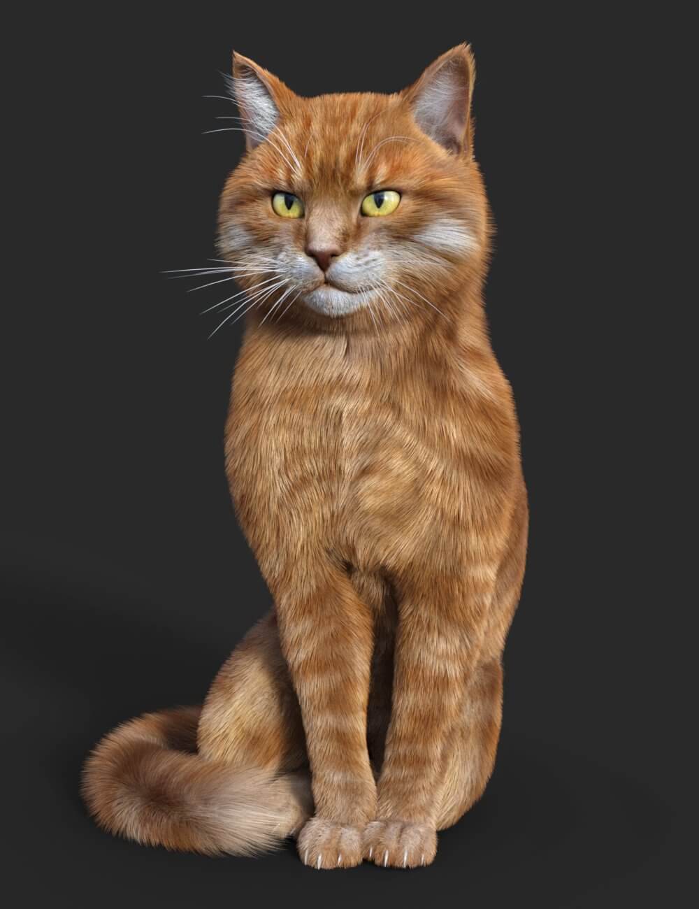 Cat Zeus for DAZ Studio 78 cat zeus 02 1786978409