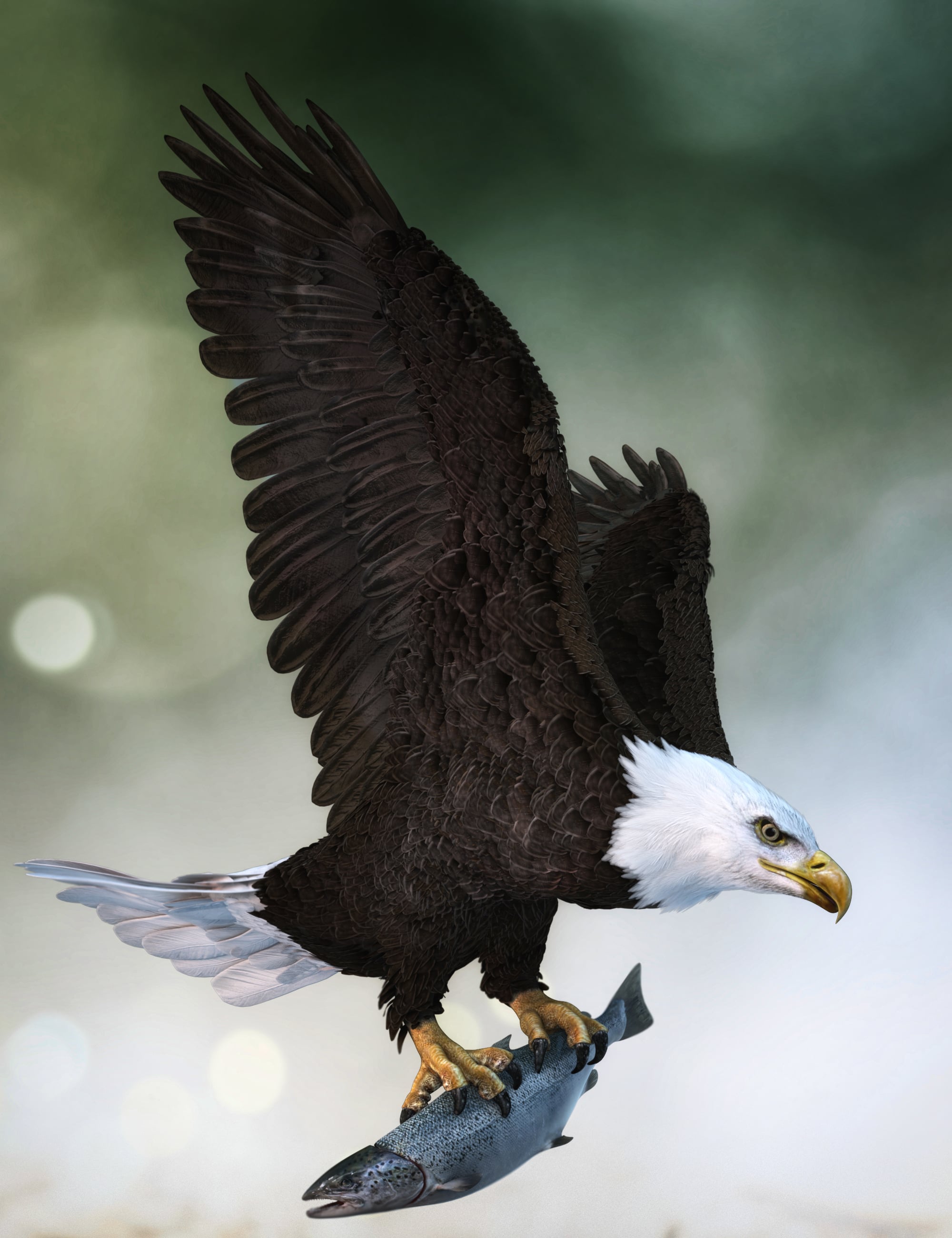 Bald Eagle by AM 1 https://new.imagehostx.com/upload/2026/08/19/baldeaglebyam00maindaz3d_1787178692.jpg