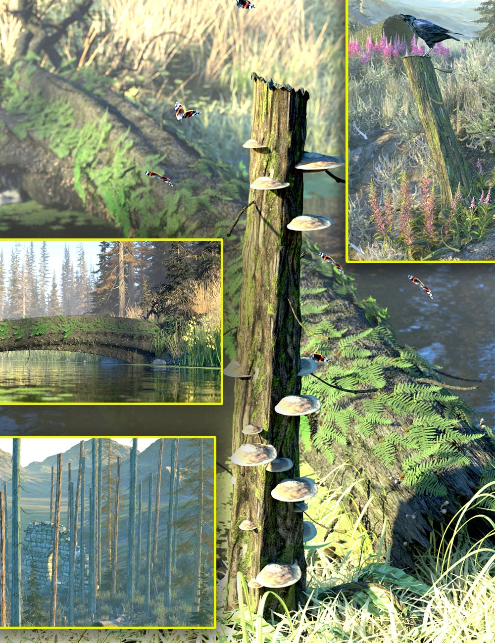 Deadwood Tree Trunks, Ferns and Fungi Bundle 1 https://new.imagehostx.com/upload/2026/09/05/deadwoodtreetrunksfernsandfungibundle00maindaz3d_1788589978.jpg