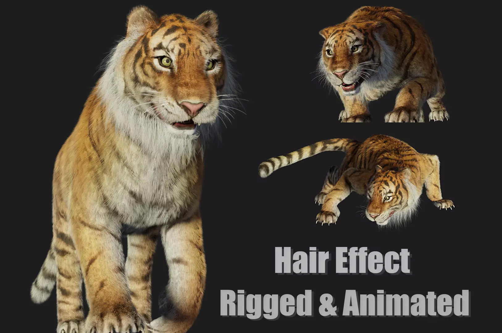 rigged tiger wild cat beast 3d model 7 1788613990
