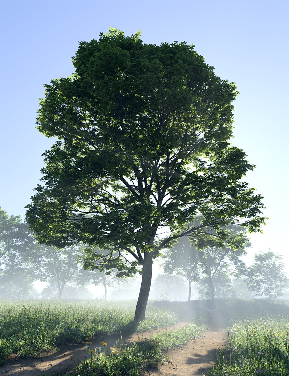 Howies Horticulture - Elm Trees 1 https://new.imagehostx.com/upload/2026/09/15/howieshorticultureelmtrees00maindaz3d_1789455852.jpg