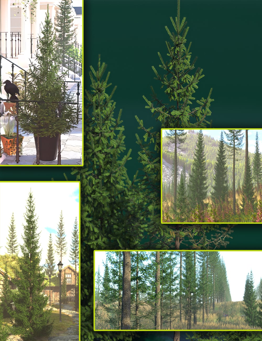 Pine Forests - Norway Spruce 90 pineforestsnorwayspruce00maindaz3d 1789802975
