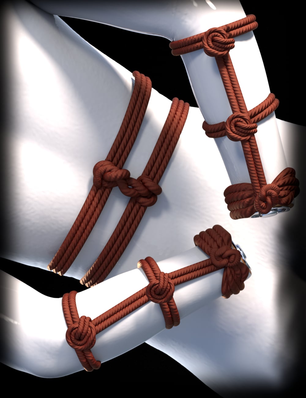 https://new.imagehostx.com/upload/2026/09/22/symodularknotsandropesiray00maindaz3d_1790057880.jpg