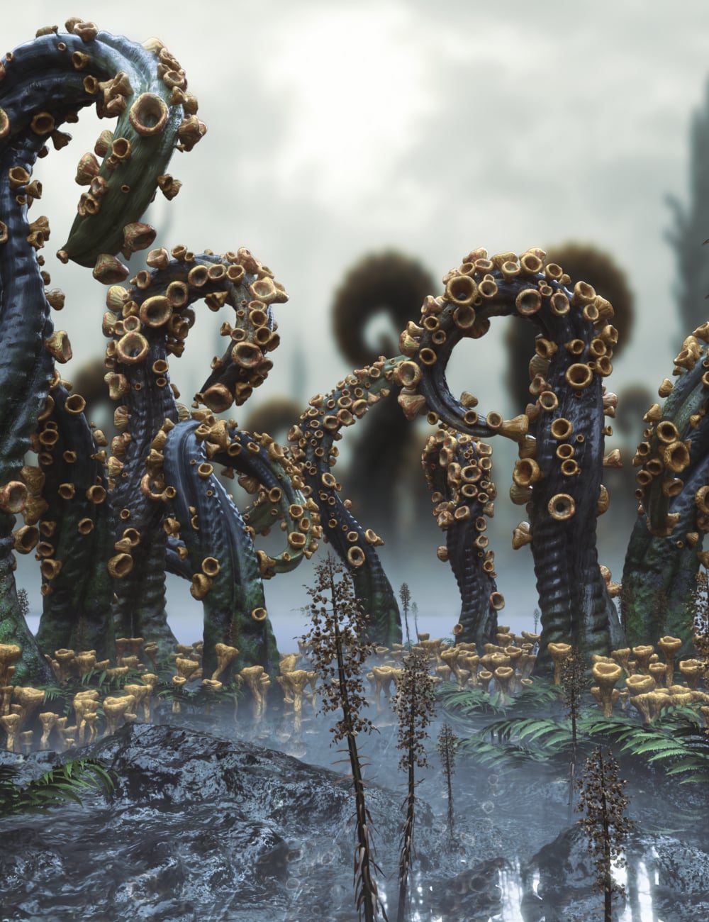 Xenovale Mycelium Wilds Main 1790159845
