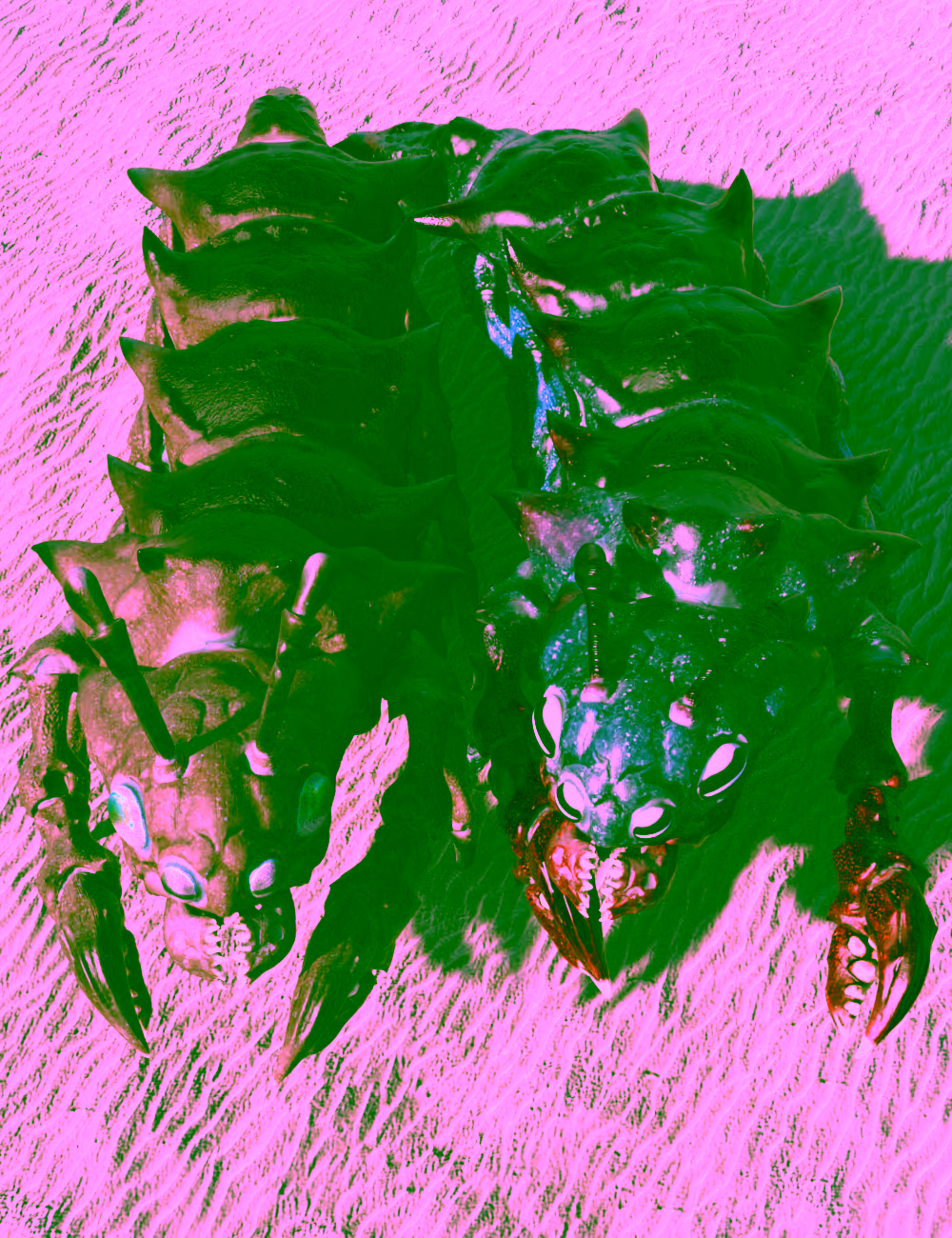 https://new.imagehostx.com/upload/2026/09/24/Main-2_1790248409.jpg