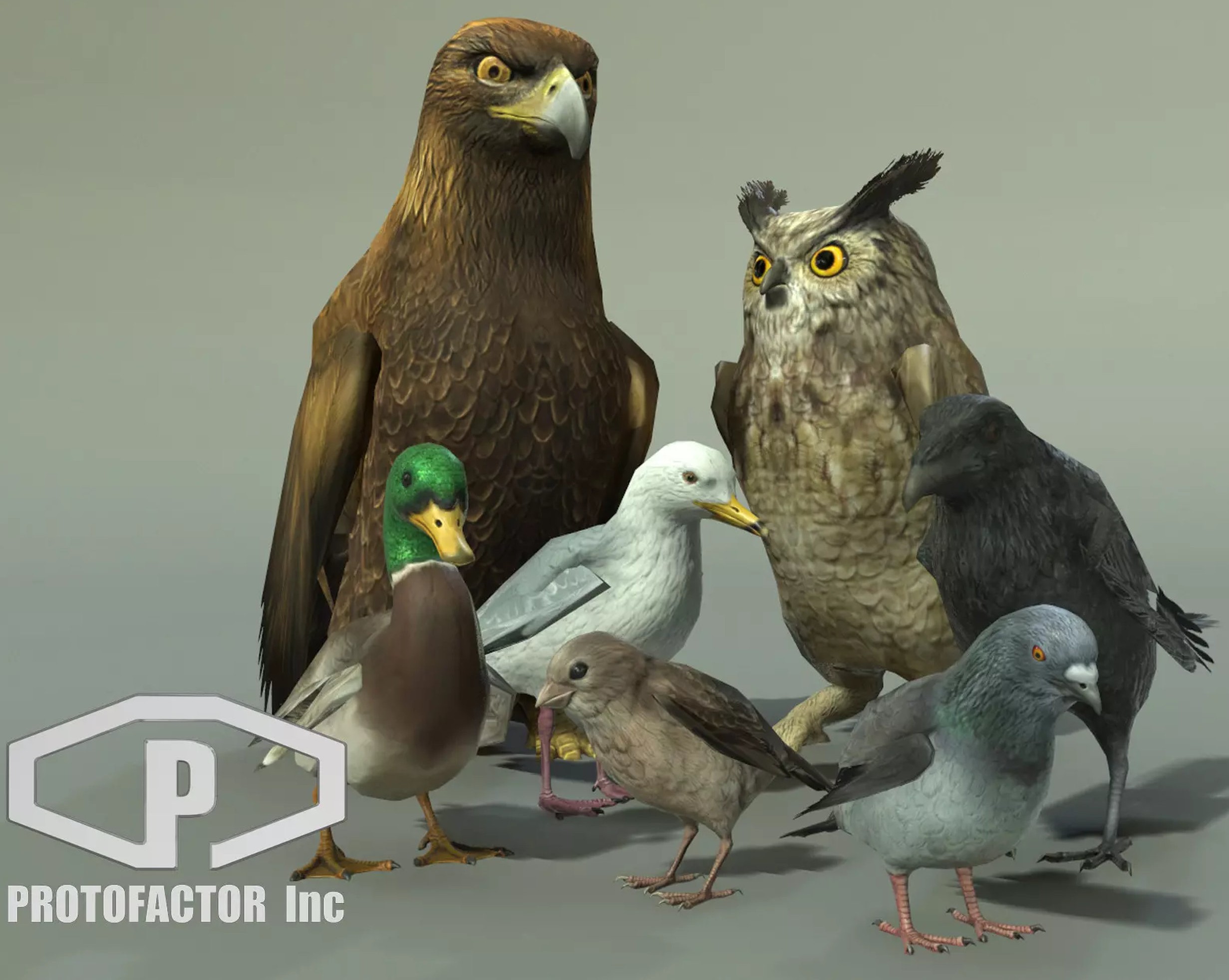 Birds Pack by Protofactor 1790528882
