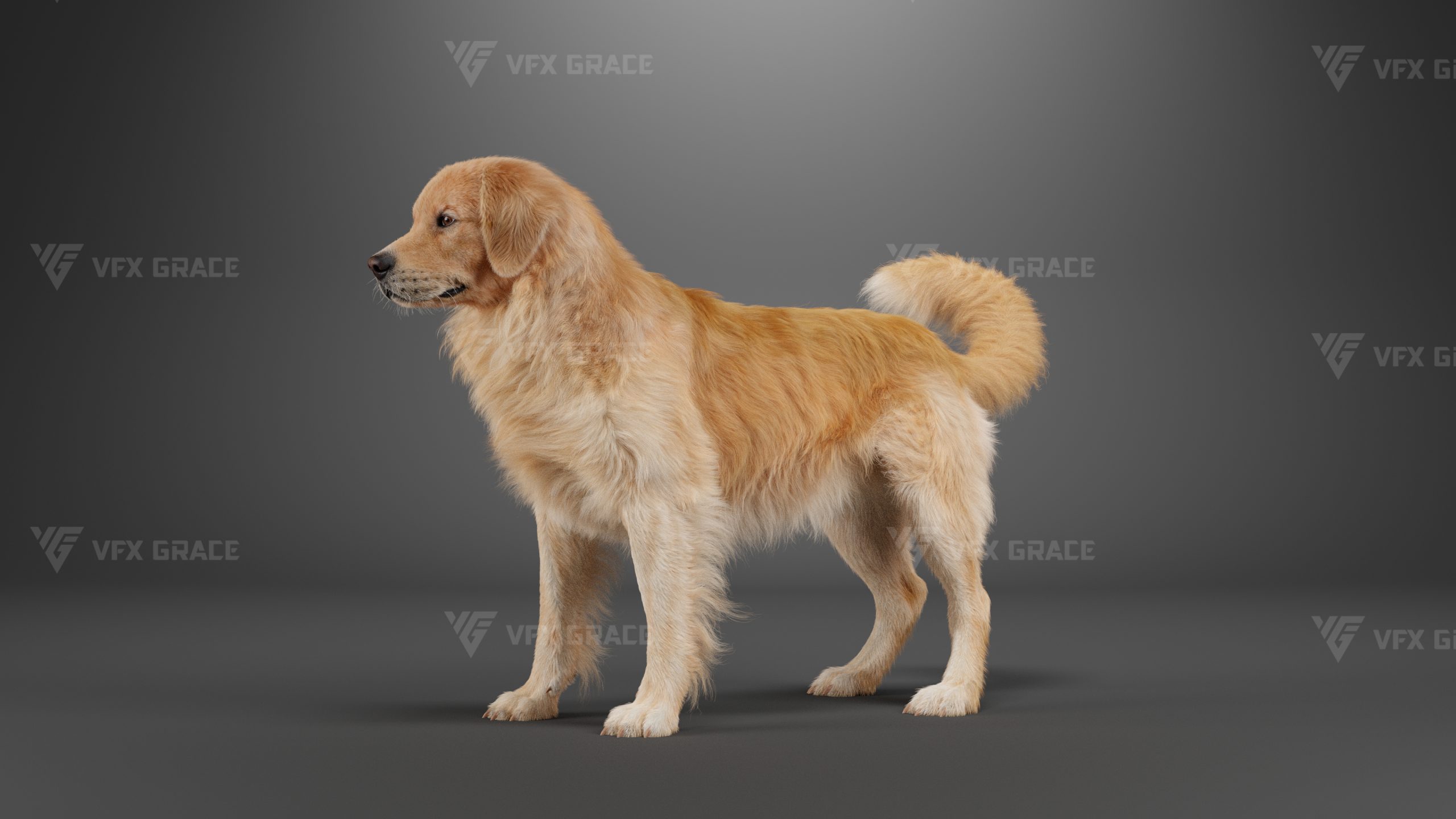 JF0O8Z0A GoldenRetriever Effect map06 scaled 1790687054