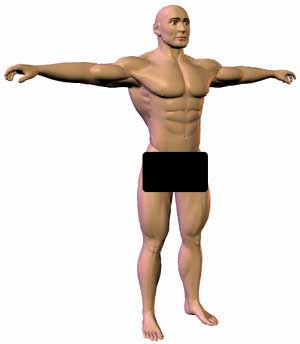 muscleMan 1791245146