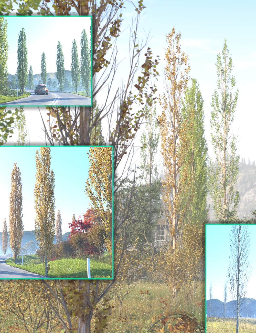 Hedgerow Kit 5 - Lombardy Poplar Trees 1 https://new.imagehostx.com/upload/2026/10/07/hedgerowkit5lombardypoplartrees00maindaz3d_1791414194.jpg