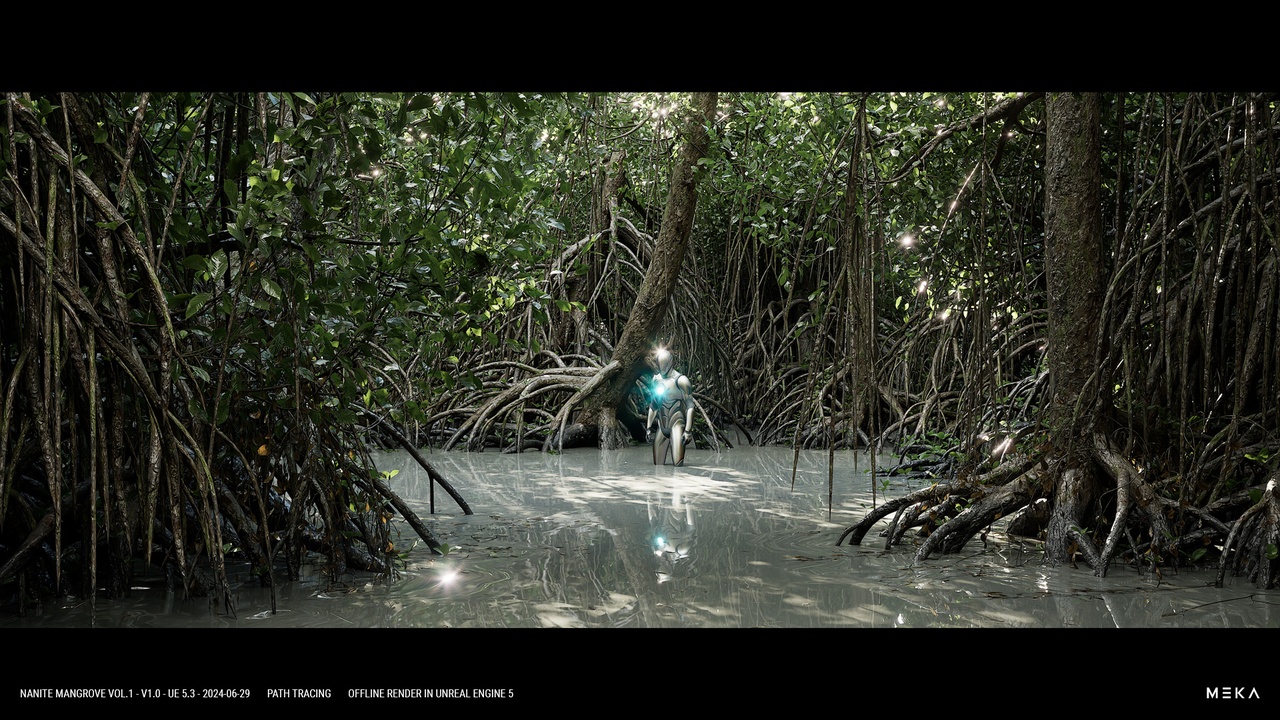 MANGROVE FOREST 94 a8bf22cf cf05 4a65 af9b 723cb3befc09 1791569451
