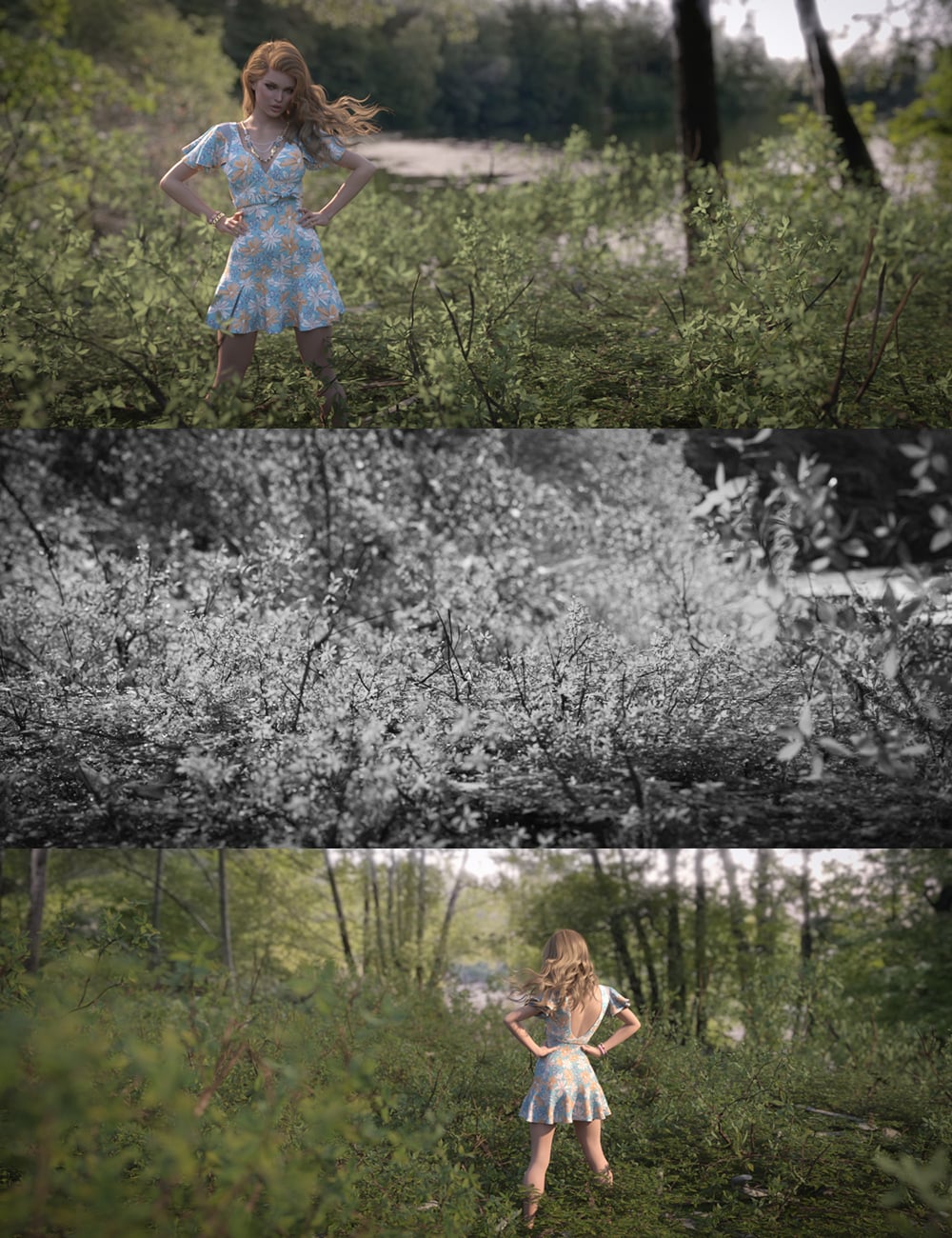 360 Scenes - Forest Lake [Request]