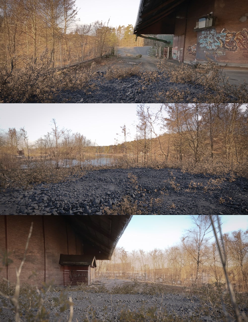 360 Scenes - Forgotten Walls 92 360scenesforgottenwalls00maindaz3d 1793433166